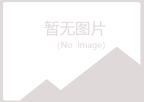 赤峰红山碧彤服务有限公司